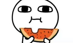 爆料卧槽吃瓜视频下载,揭秘热门爆料背后的真相